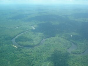 La selva del Congo es el segundo bosque tropical más grande del mundo. Foto: Wikipedia.