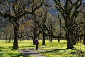 Caminar al aire libre. Foto: Pixabay.
