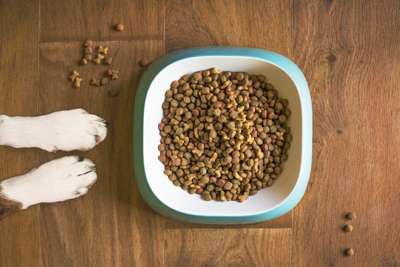 What can happen if dog food is consumed.