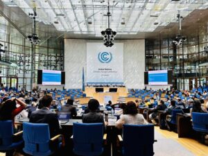 financiamiento climático COP29