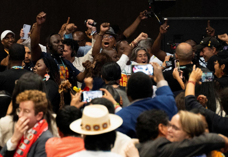 Delegates celebrate after a measure to recognize the role of Afro-descendants in conservation is approved, at the COP16 nature summit of the United Nations in Cali, Colombia, on November 1, 2024. © Camilo Rodriguez (Reuters)