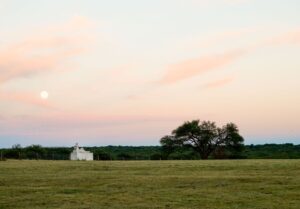 Reserva Provincial Parque Luro, La Pampa. Foto: La Ruta Nacional.