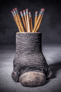 “The macabre business of trophy hunting”. (Photo: Britta Jaschinski).