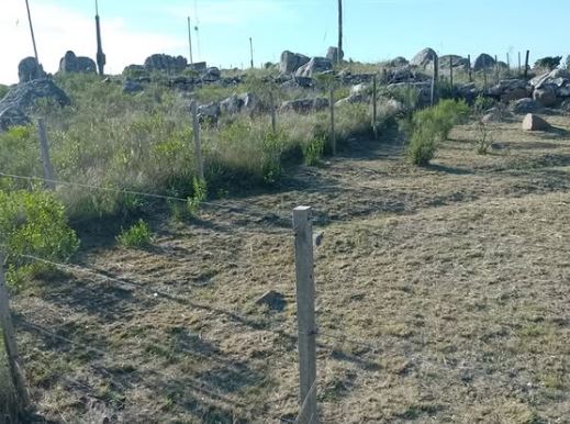 La denuncia en Tandil.