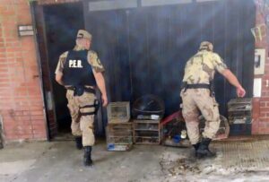 El procedimiento en vivienda de Paraná. Foto: Policía