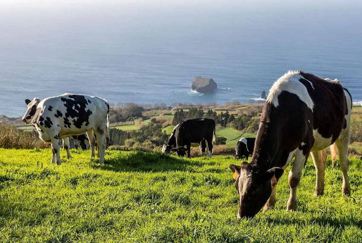 reduction in methane emissions