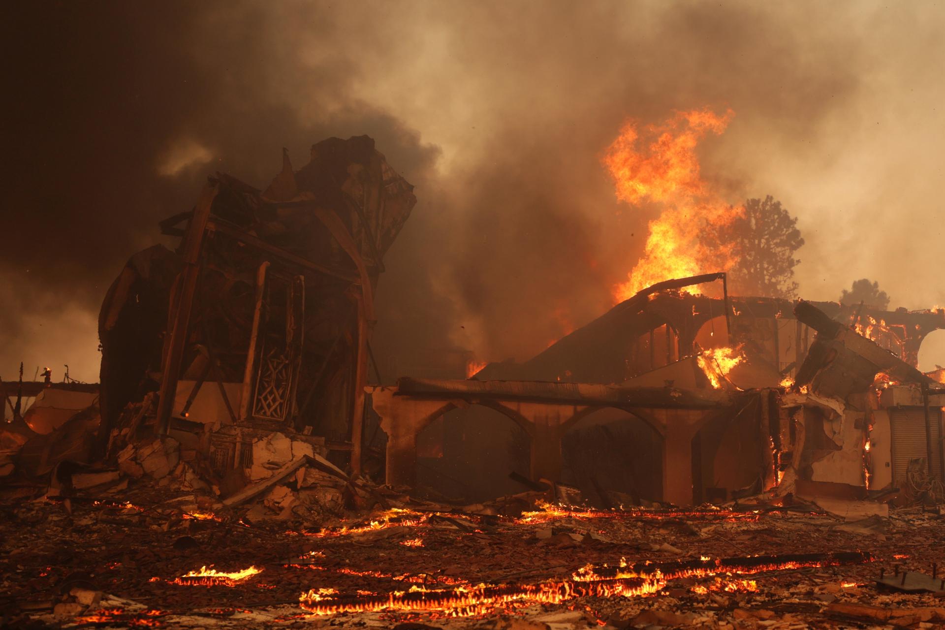 Incêndios florestais: por que serão cada vez piores.