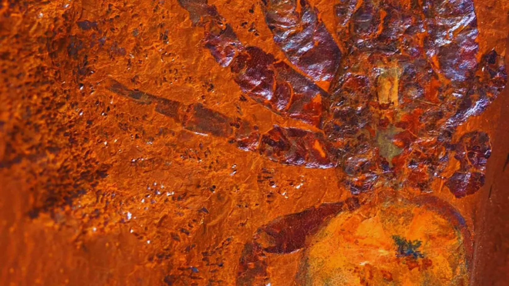 aranha gigante