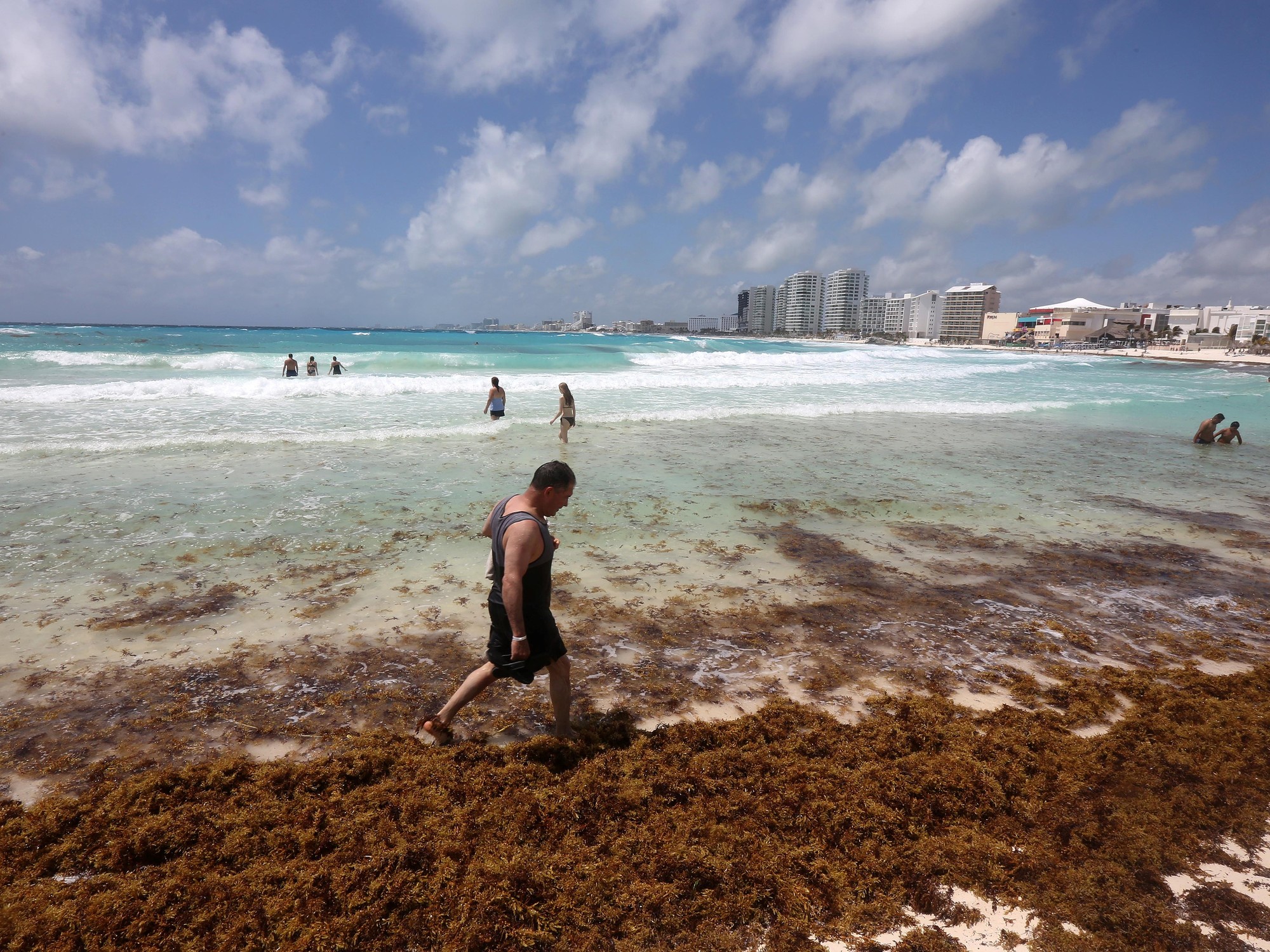 Sargassum quantity