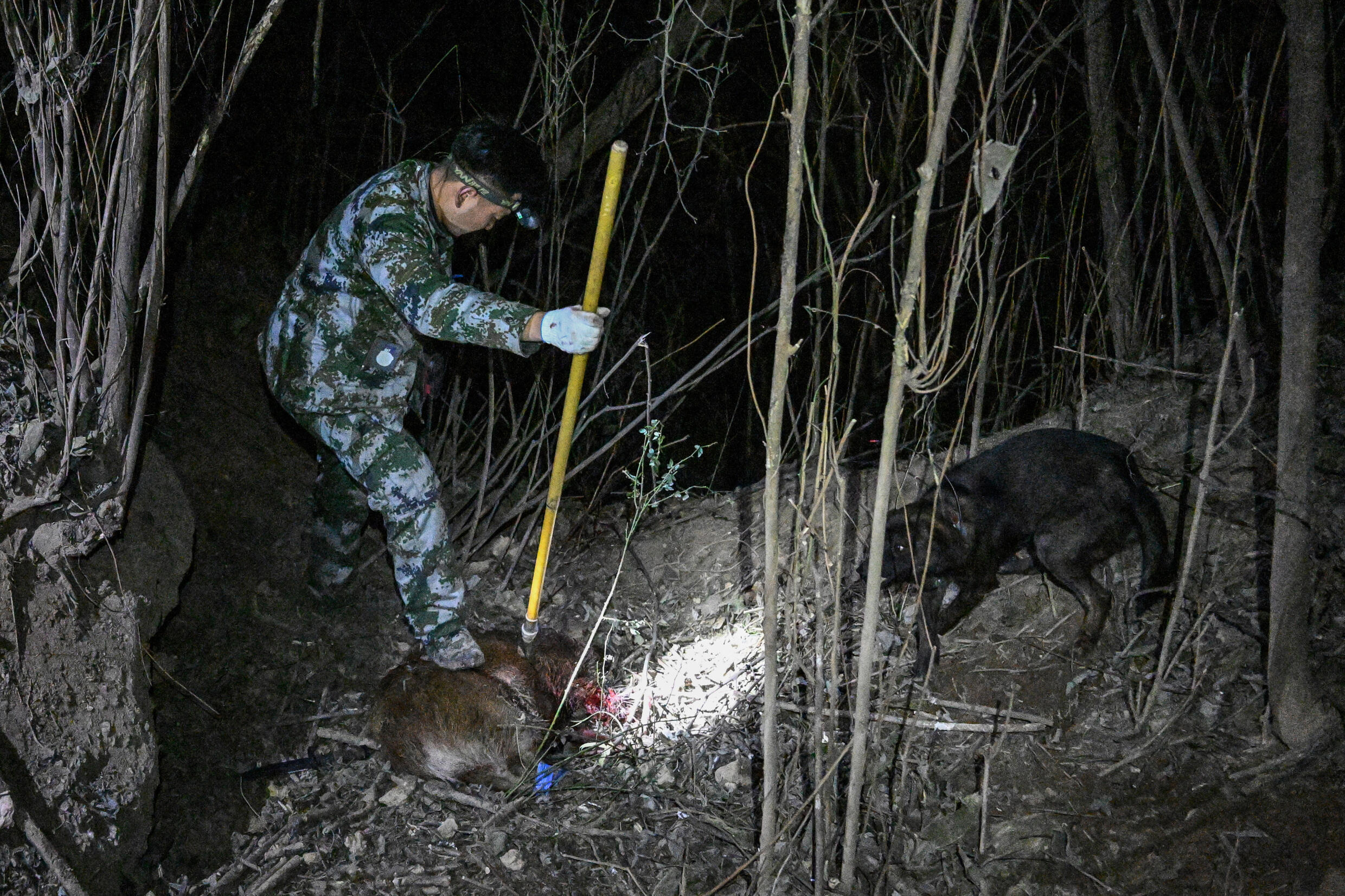 wild boar hunters