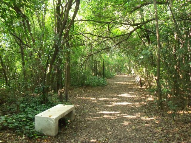 Reserva Natural El Palomar.