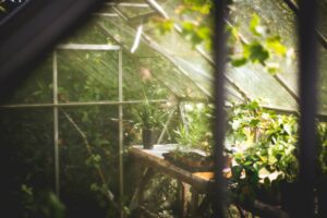 Pesticidas en invernaderos. Foto: Unsplash.