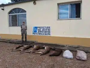 Hunted specimens