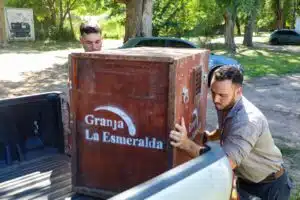 Wild animal rescue