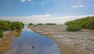 Bahía de La Florida. Foto: Google Maps.