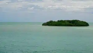 Bahía de Florida. Foto: Google Maps.