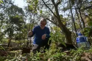 Hélio da Silva planea seguir plantando árboles por su cuenta. Foto: Redes sociales.