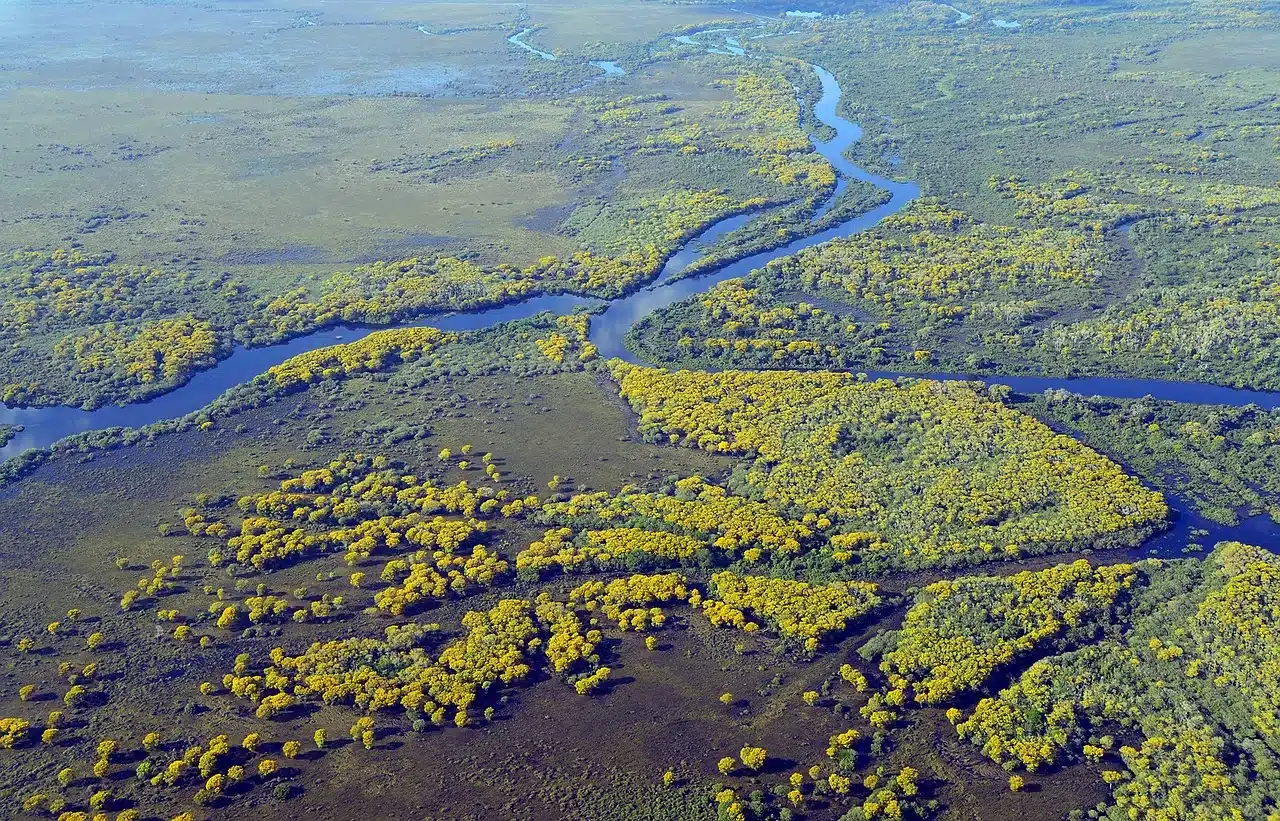 el pantanal
