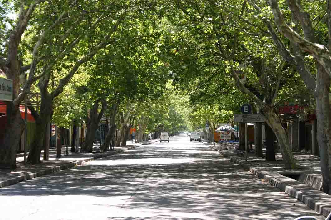 What happens with trees in San Rafael, Mendoza. (Photo: Wikipedia).