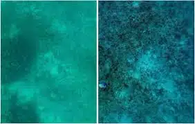 SeaSplat, la herramienta tecnológica que muestra el océano de una forma única. Foto: Redes sociales.
