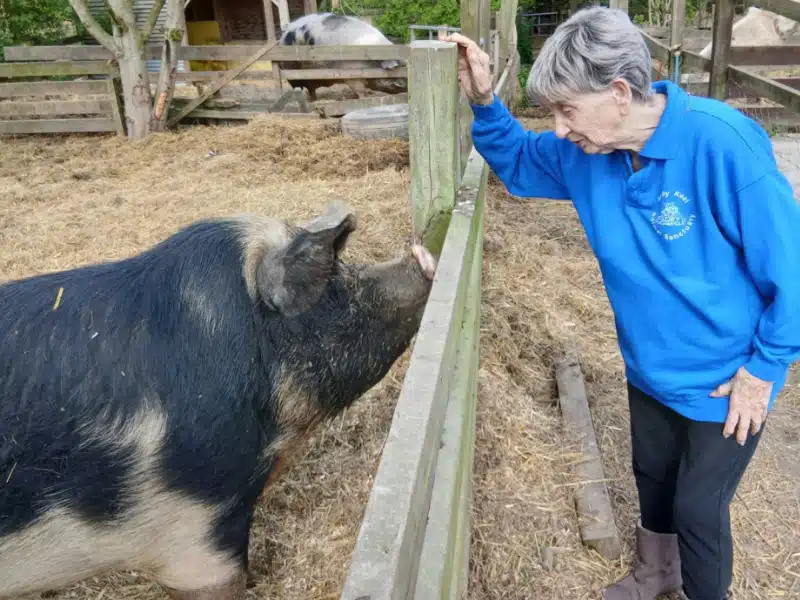 La heroína de los animales salvó más de 10 mil vidas. Foto: La Cara Buena del Mundo.