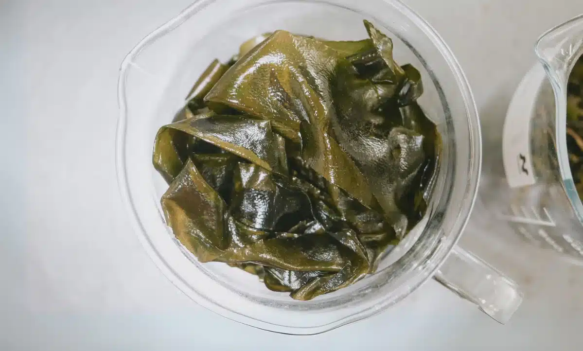 Eles eliminam plástico sem vestígios