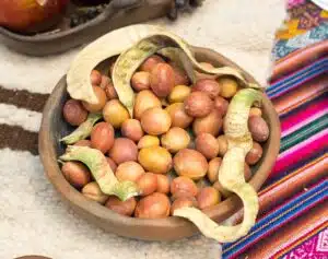 Chañar fruit. Photo: Wikipedia.