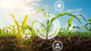 Bioplastics in regenerative agriculture
