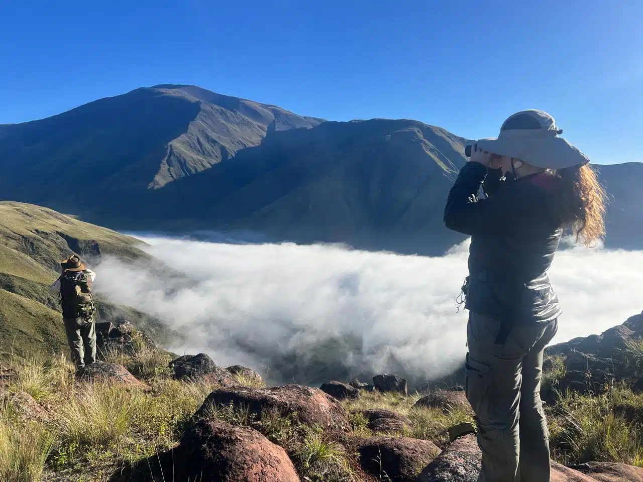 Conservación de dos Monumentos Naturales. (Foto: APN).