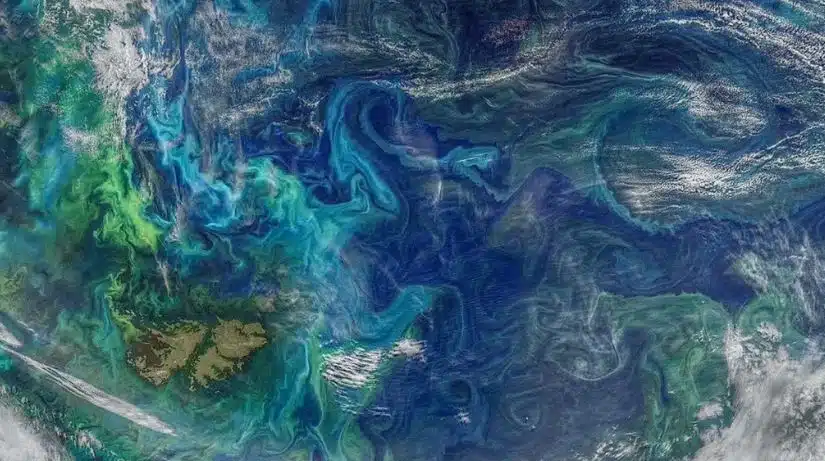 El fitoplancton cubrió una parte del océano. (Foto: NASA).