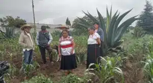 México es parte de la red global de Sistemas Importantes del Patrimonio Agrícola Mundial (SIPAM). Foto: GIAHS/ Mexico, Meteplante.