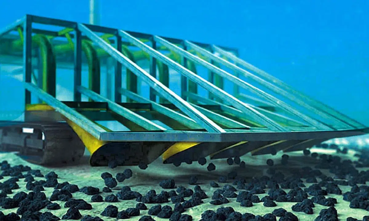 Marine life in the Pacific Ocean is at risk due to the impact of deep ...