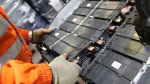 Recycling bacteria. Photo: Ecoinventos.