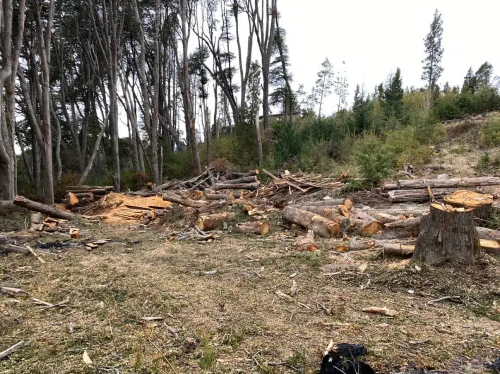 Proponen Ficha Limpia Ambiental en Villa La Angostura para frenar proyectos inmobiliarios de infractores
