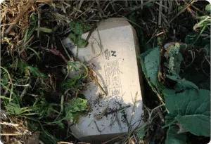 Los envases de Notpla se degradan sin dejar huella ecológica. Foto: Notpla.