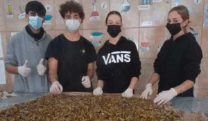 Students transform cigarette butts into flexible paper. Photo: La Voz.