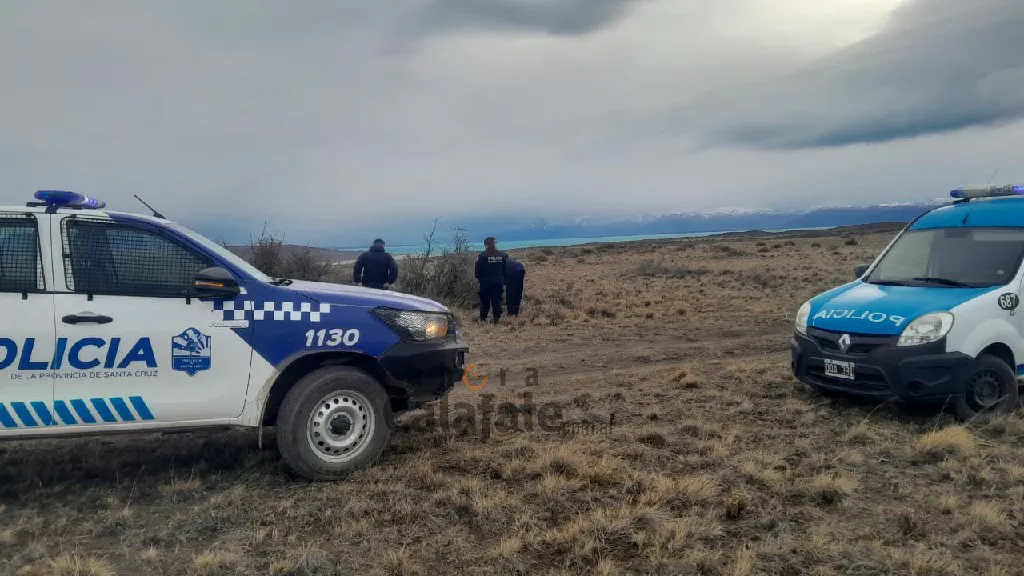 Tres perros asesinados demuestran el maltrato animal en Calafate. Foto: Ahora Calafate.