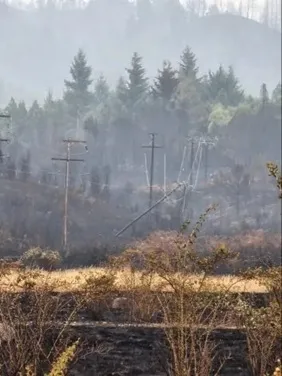 Incêndio em El Bolsón. Foto: Al Sur Noticias. 