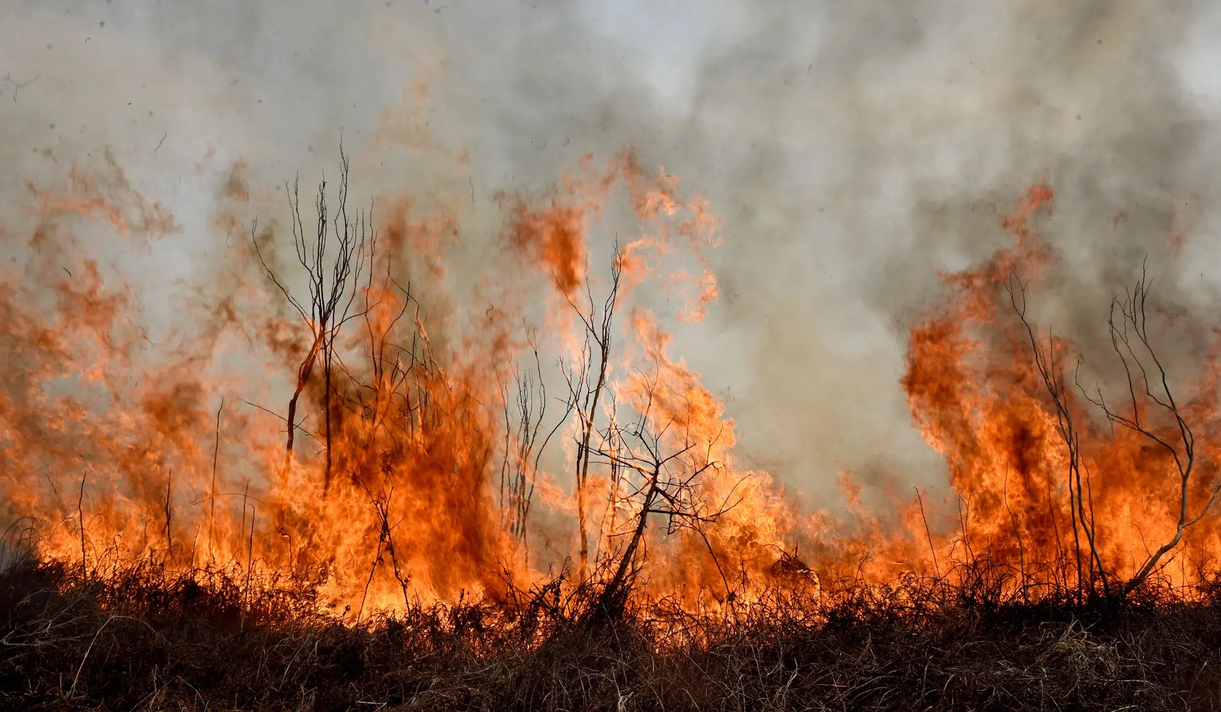 incendio humedales