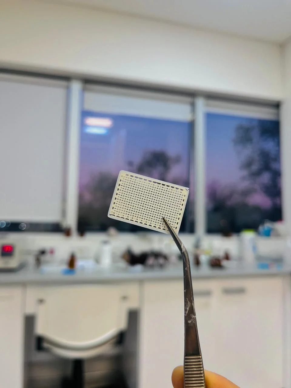 Inovação feita na Argentina e avanços científicos com impacto social e ambiental