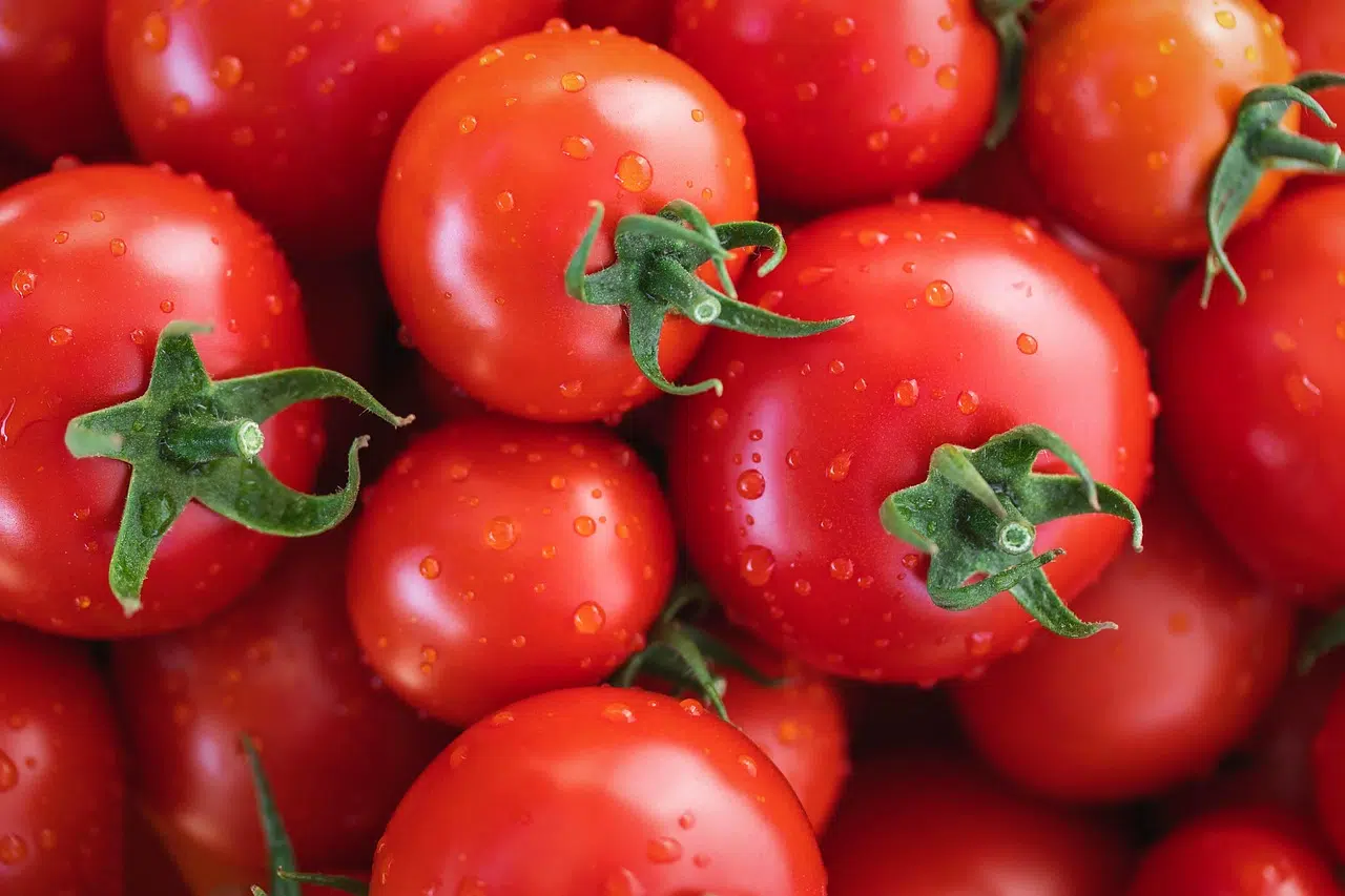 Tomato. Photo: Pixabay.