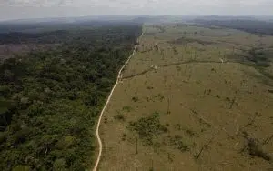 Amazonía