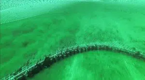 Red de pesca de arrastre