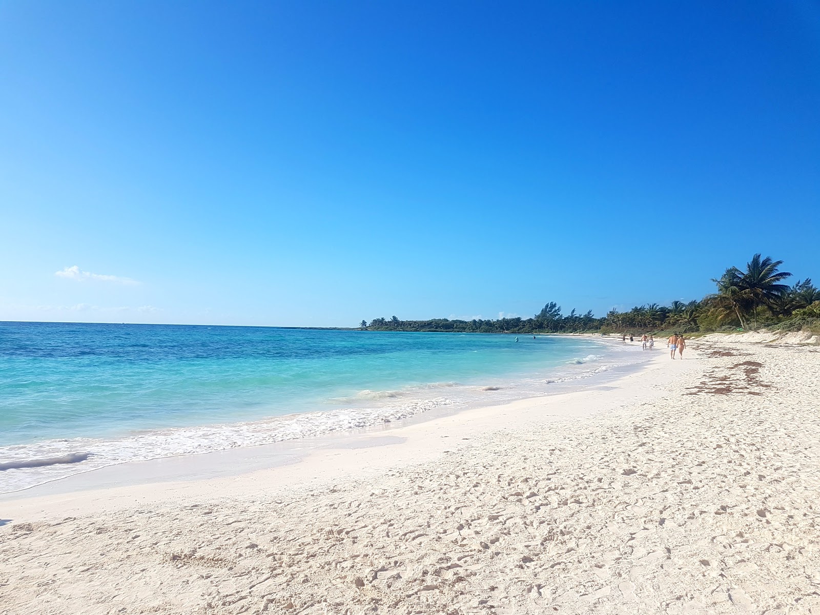 O segredo mais bem guardado da Riviera Maya: uma praia tranquila, cristalina  e rodeada de biodiversidade. - Noticias Ambientales, image size:1600x1200