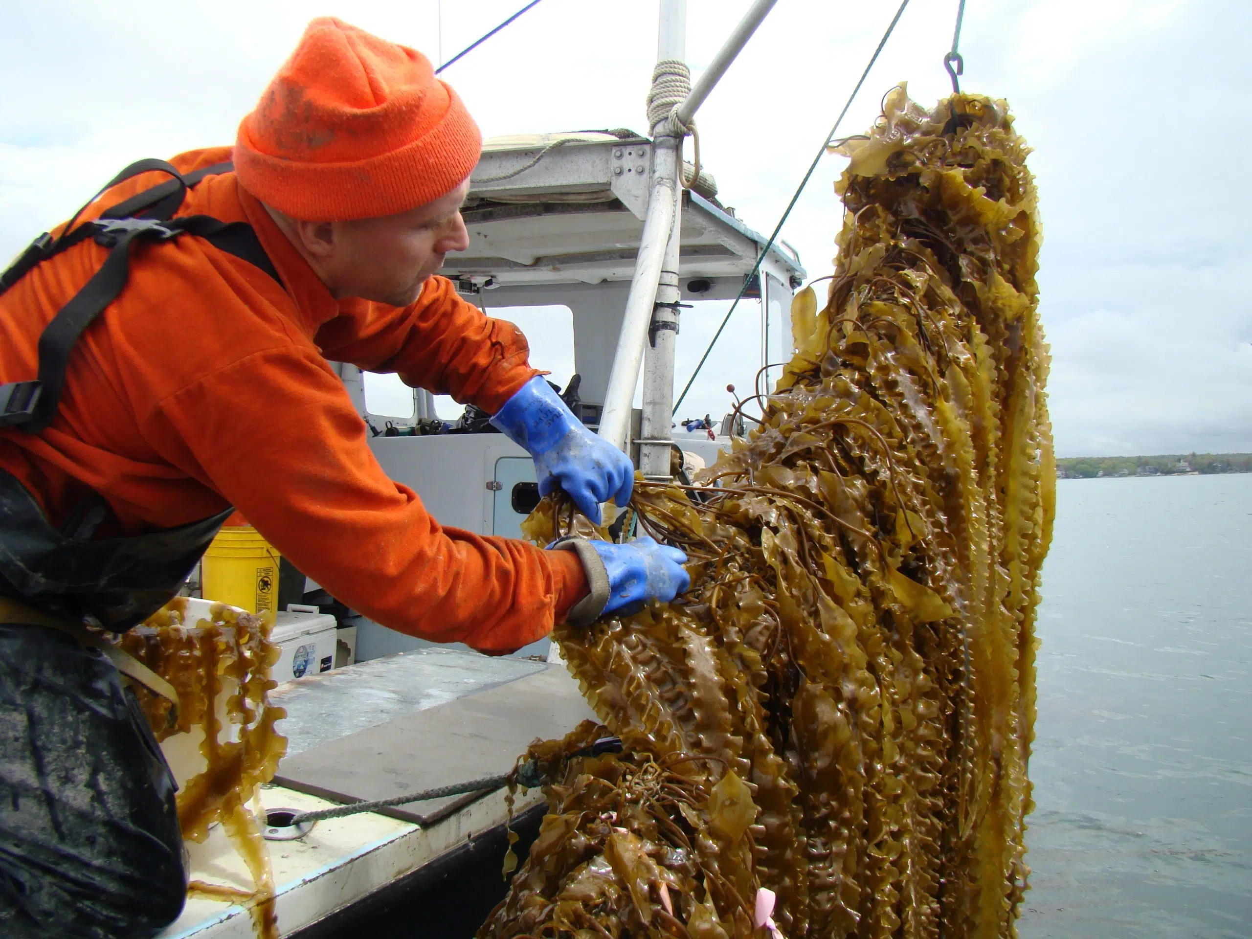 Um projeto piloto promove a aquicultura