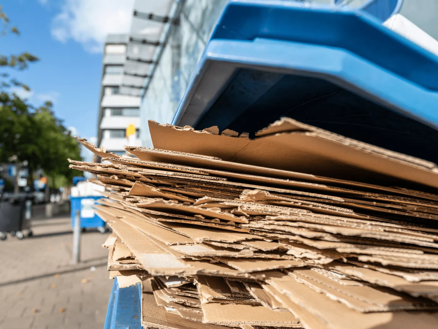 papelão