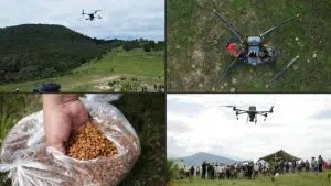 Mexico uses drones to reforest areas destroyed by fires. Photo: AFP/Enrique Castro.