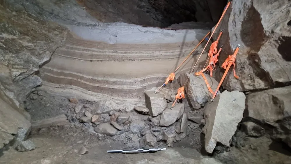 An expedition found remains of uncommon Arctic fauna in Norway. Photo: Trond Klungseth Lødøen.