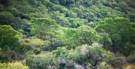The situation of the reserve. (Photo: Environmental press room).