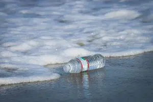Microplastics detected in zooplankton. Photo: Unsplash.
